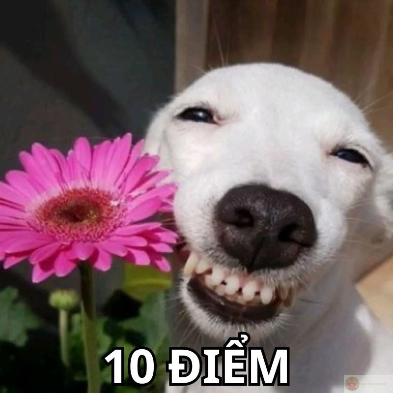 Lỡ nói xong rồi mà vẫn được 10 điểm