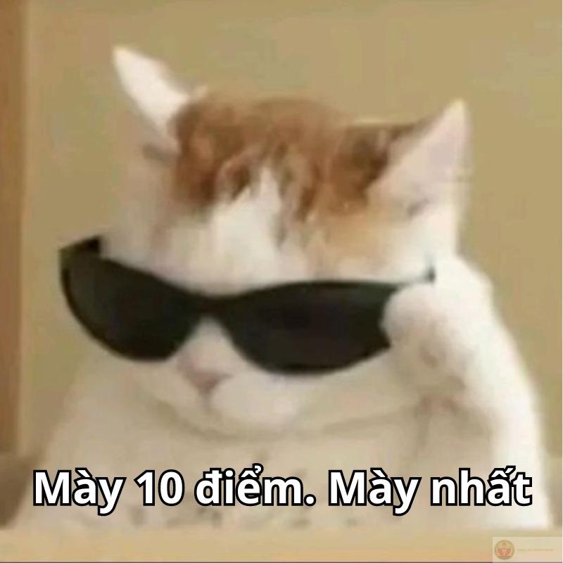 10 điểm thanh lịch, 0 điểm tỉnh táo