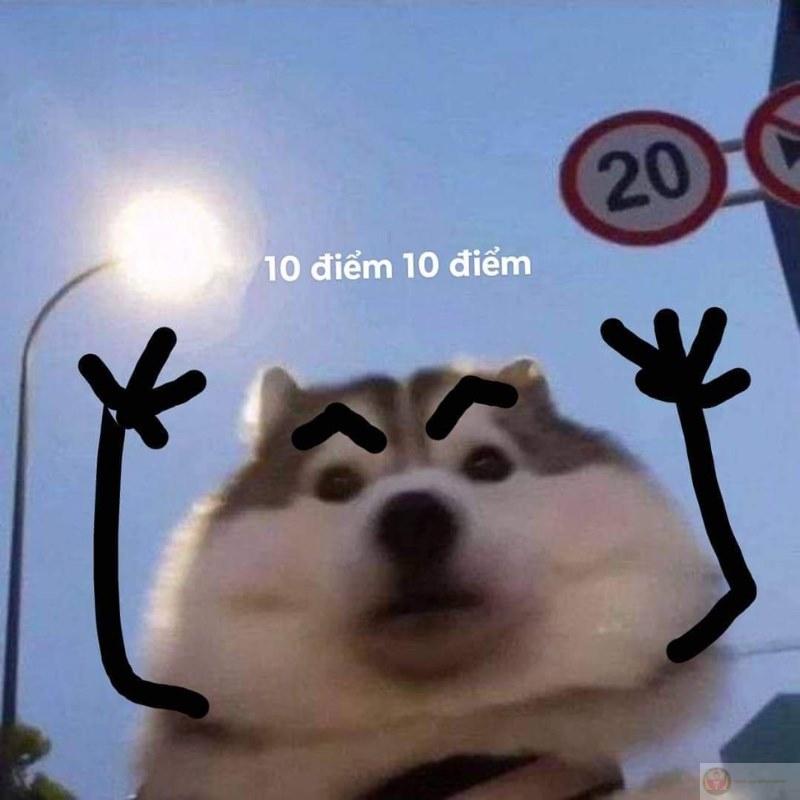 Phong thái như hoa hậu, 10 điểm hình thể