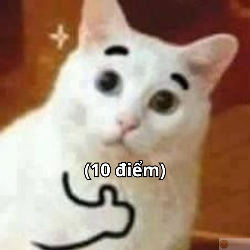 Dáng ngồi thôi mà cũng được 10 điểm