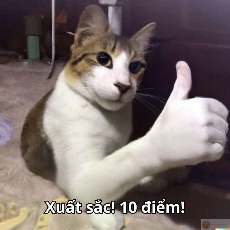 Nói chuyện nhạt mà cười không dứt, 10 điểm