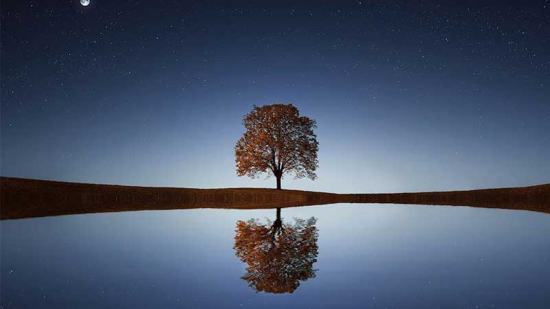 Khám phá bộ sưu tập 50 hình nền đẹp 3D, tải miễn phí 100%