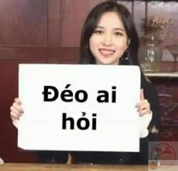 meme ai hỏi mà mày trả lời