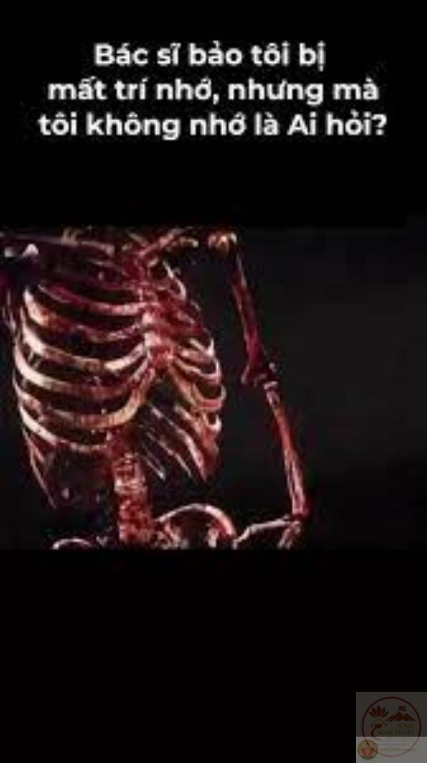 meme ai hỏi thú vị