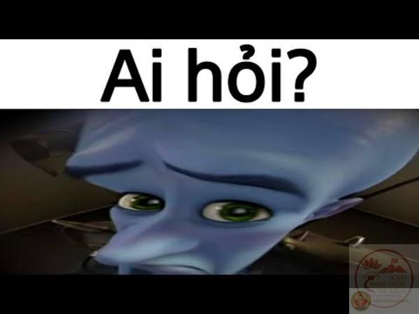 meme ai hỏi nổi bật