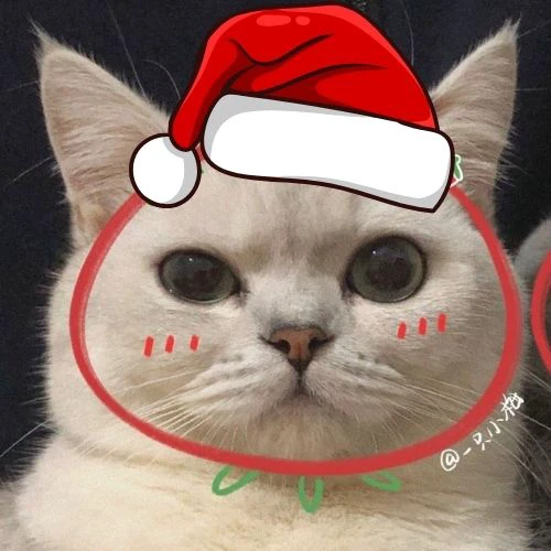 Avatar đôi Giáng sinh mèo cute