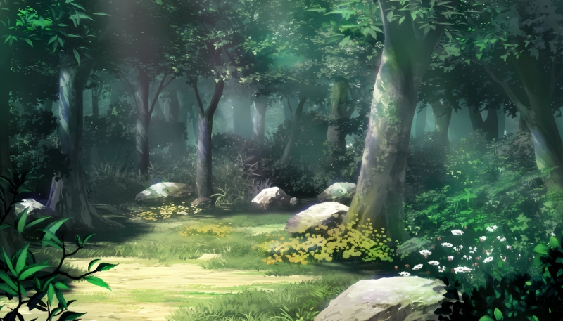 Hình ảnh cây xanh 4K