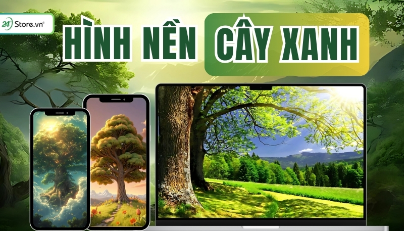 399+ Hình nền cây xanh TƯƠI MÁT, siêu nét và đẹp nhất