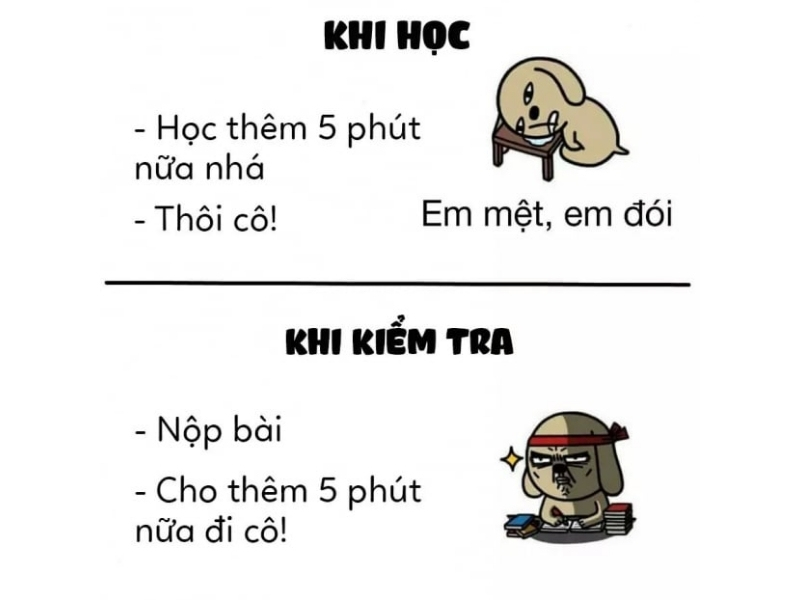 Meme 5 phút khi học và khi kiểm tra