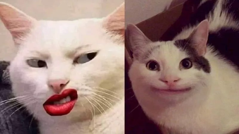 Bạn có thể lưu ngay ảnh meme hài bựa này để sử dụng.