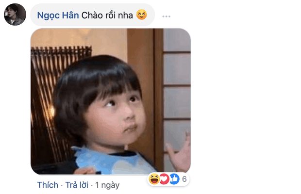 Một loạt biểu cảm dễ thương và caption hài hước hợp hoàn cảnh của người dùng Facebook - Nguồn ảnh: Internet
