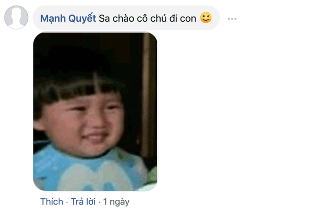 Một loạt biểu cảm dễ thương và caption hài hước hợp hoàn cảnh của người dùng Facebook - Nguồn ảnh: Internet
