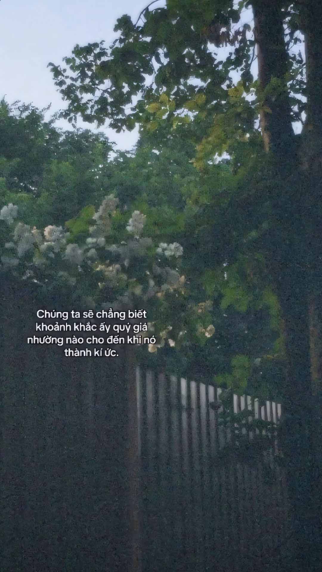 nhung cau noi hay anh dang story buon 1920px 1080px full hd 2