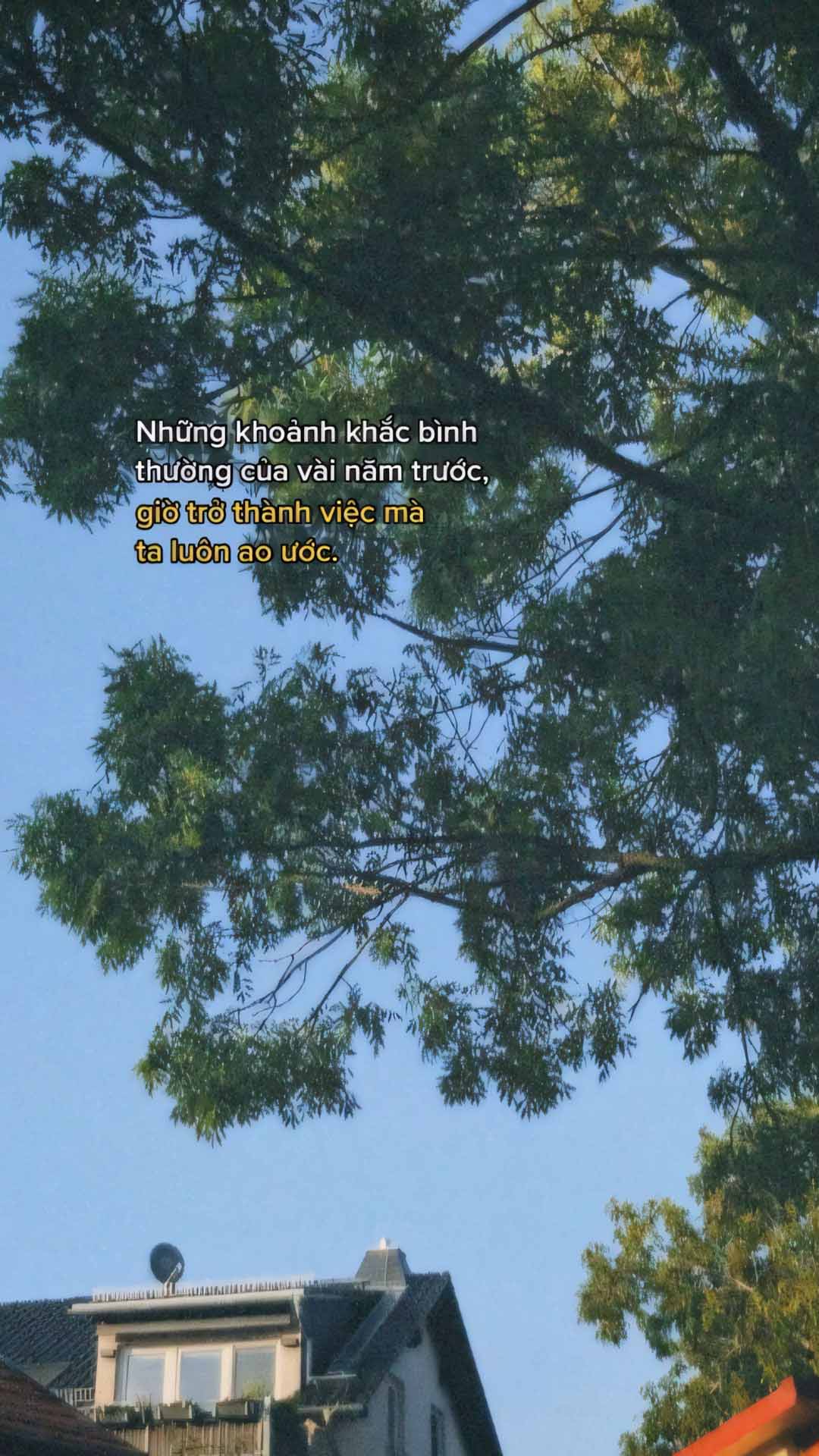 nhung cau noi hay anh dang story buon 1920px 1080px full hd 3