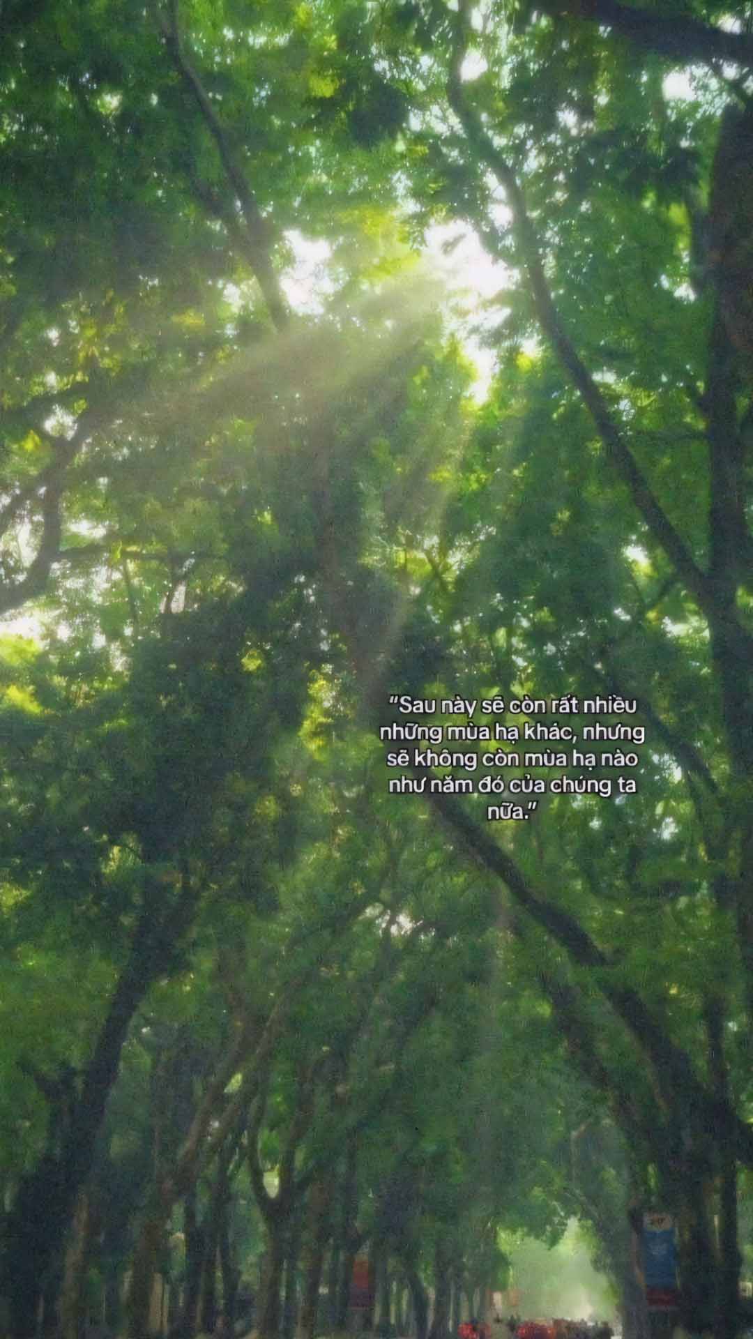 nhung cau noi hay anh dang story buon 1920px 1080px full hd 4