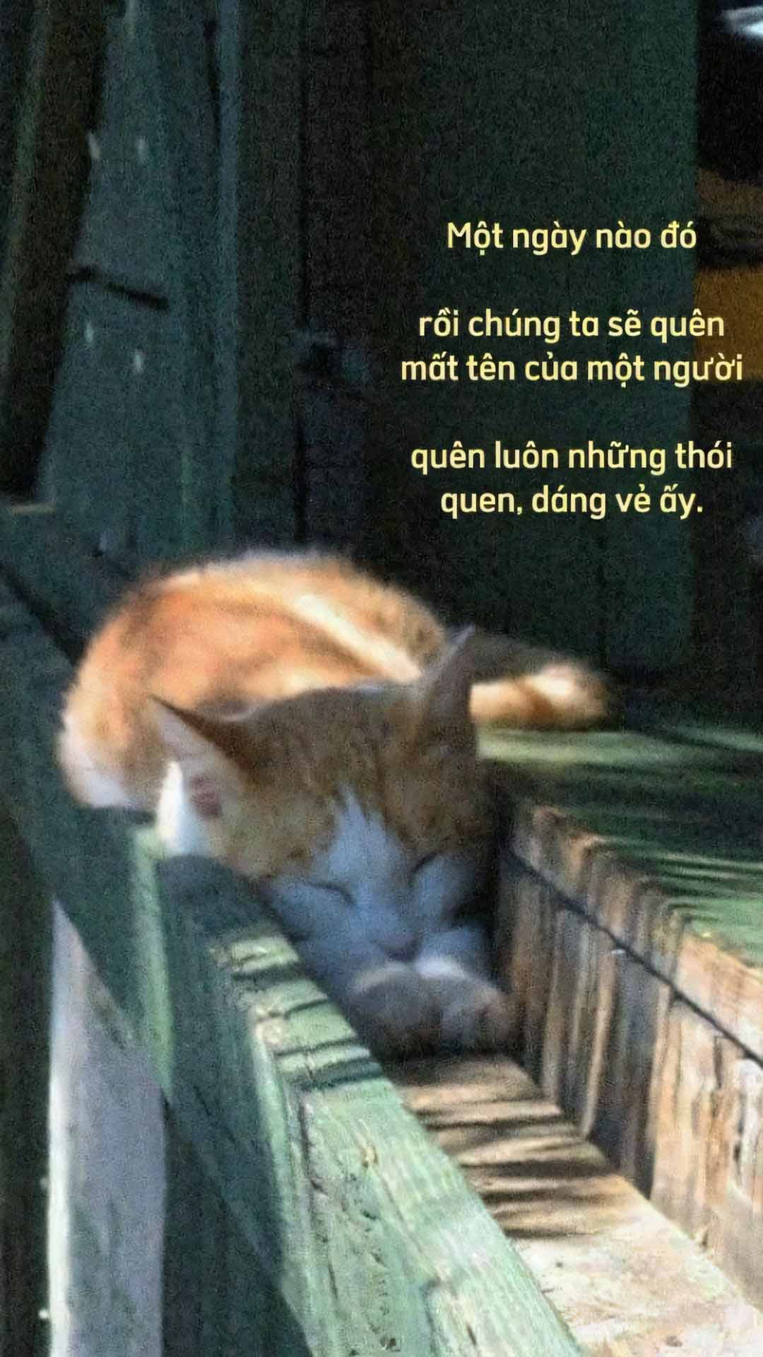 nhung cau noi hay anh dang story buon 1920px 1080px full hd 5