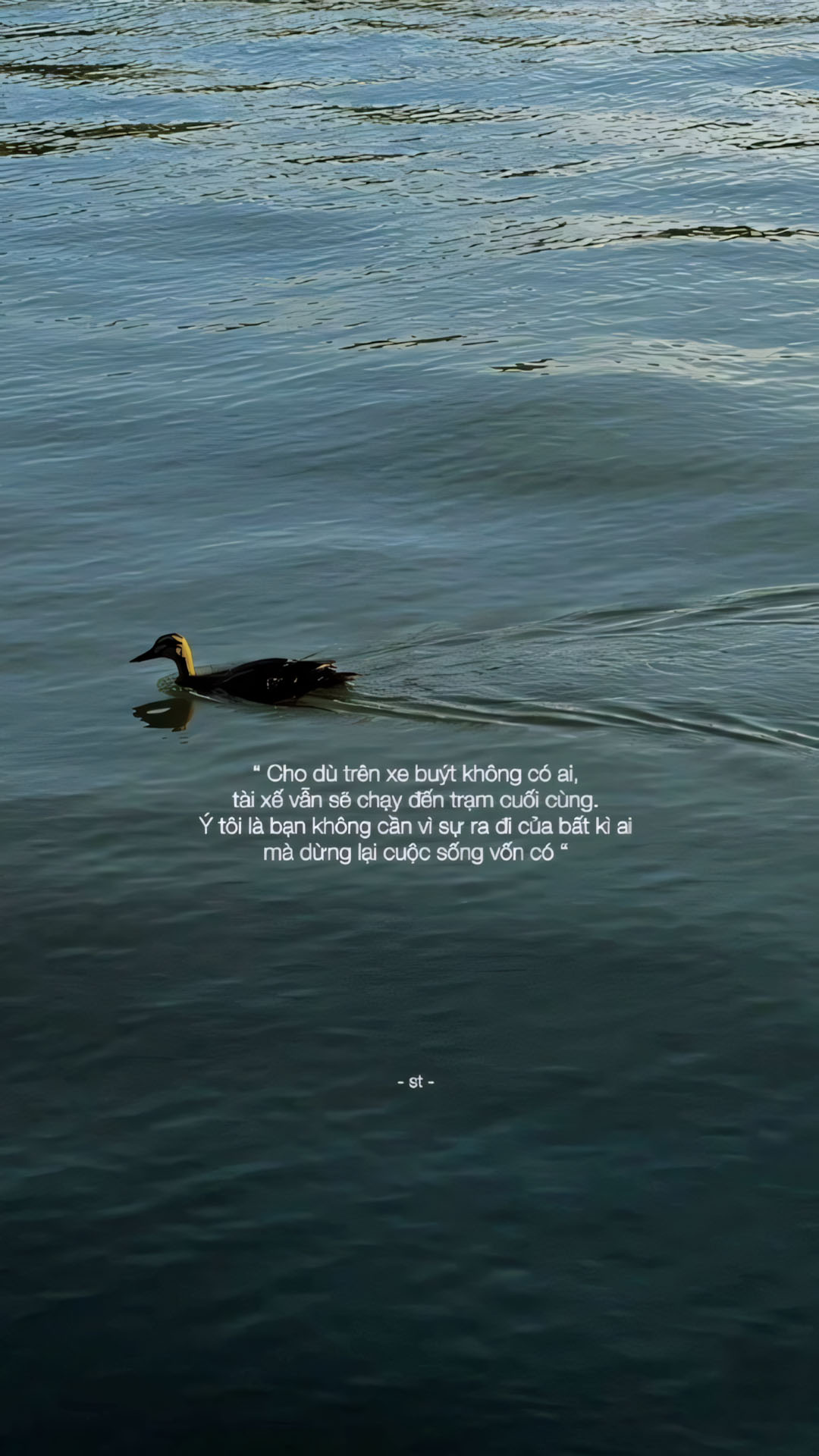 nhung cau noi hay anh dang story buon 1920px 1080px full hd 9