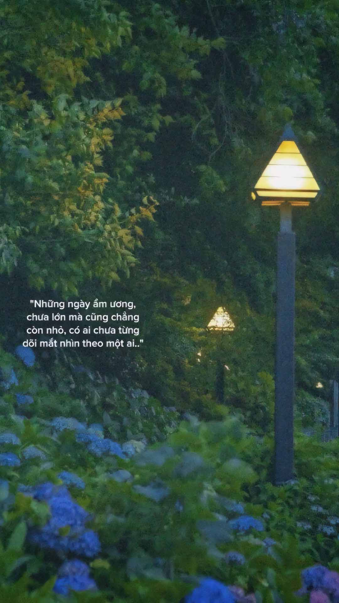 nhung cau noi hay anh dang story buon 1920px 1080px full hd 10