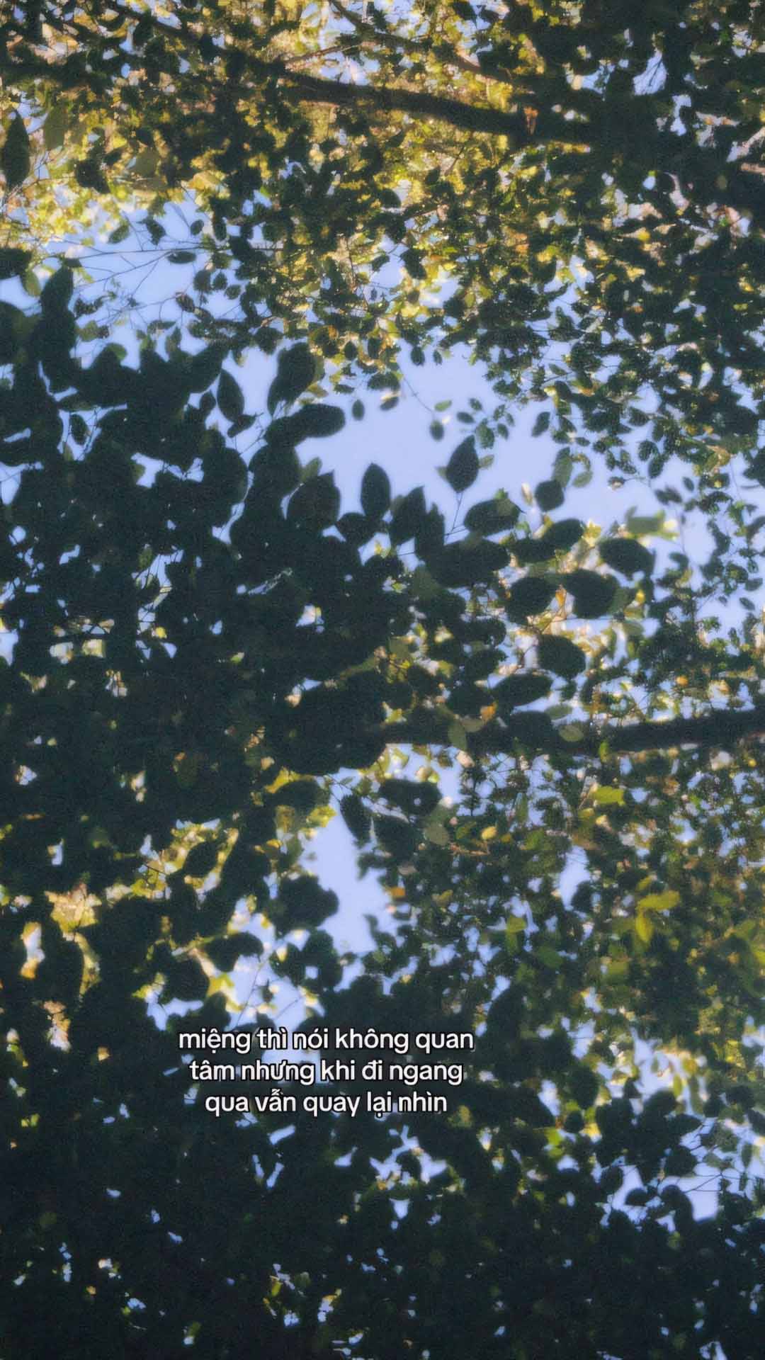 nhung cau noi hay anh dang story buon 1920px 1080px full hd 14