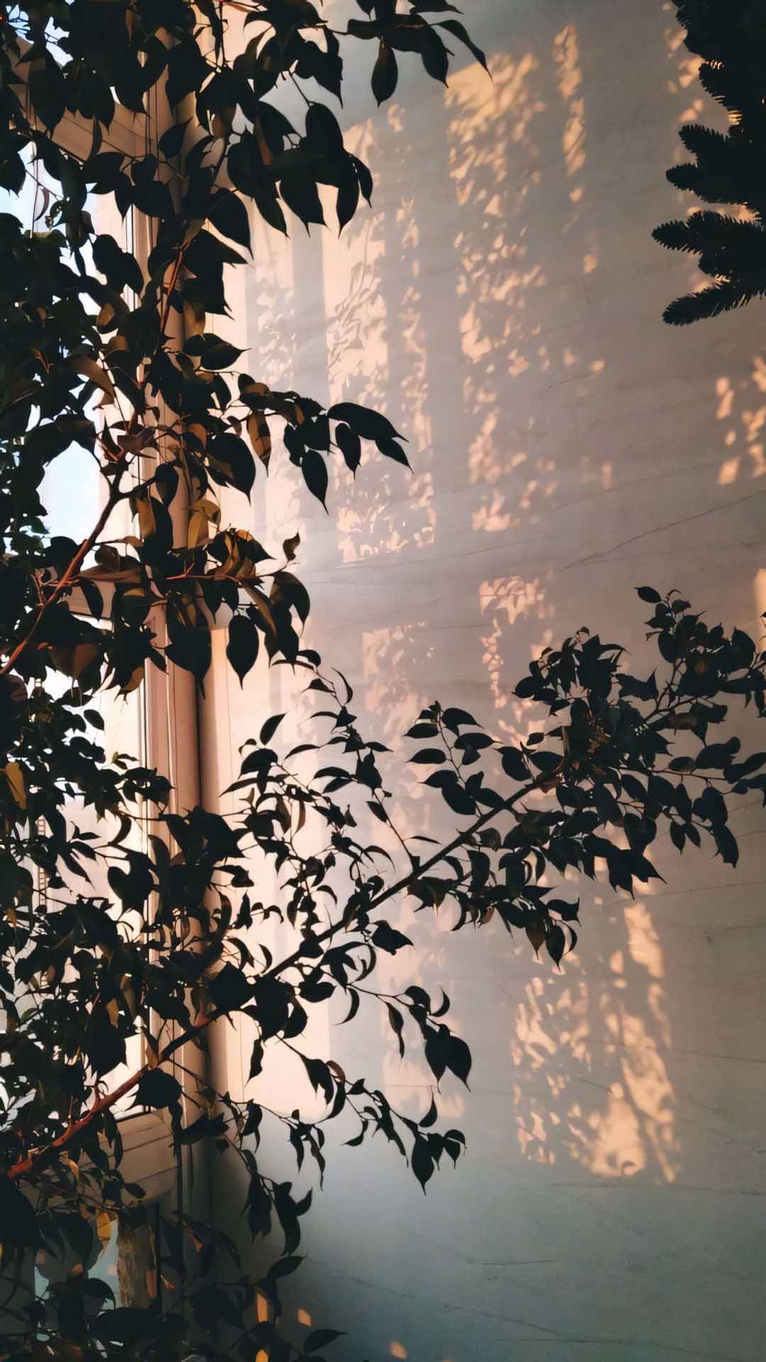 anh dang story buon khong chu 1920px 1080px full hd 3