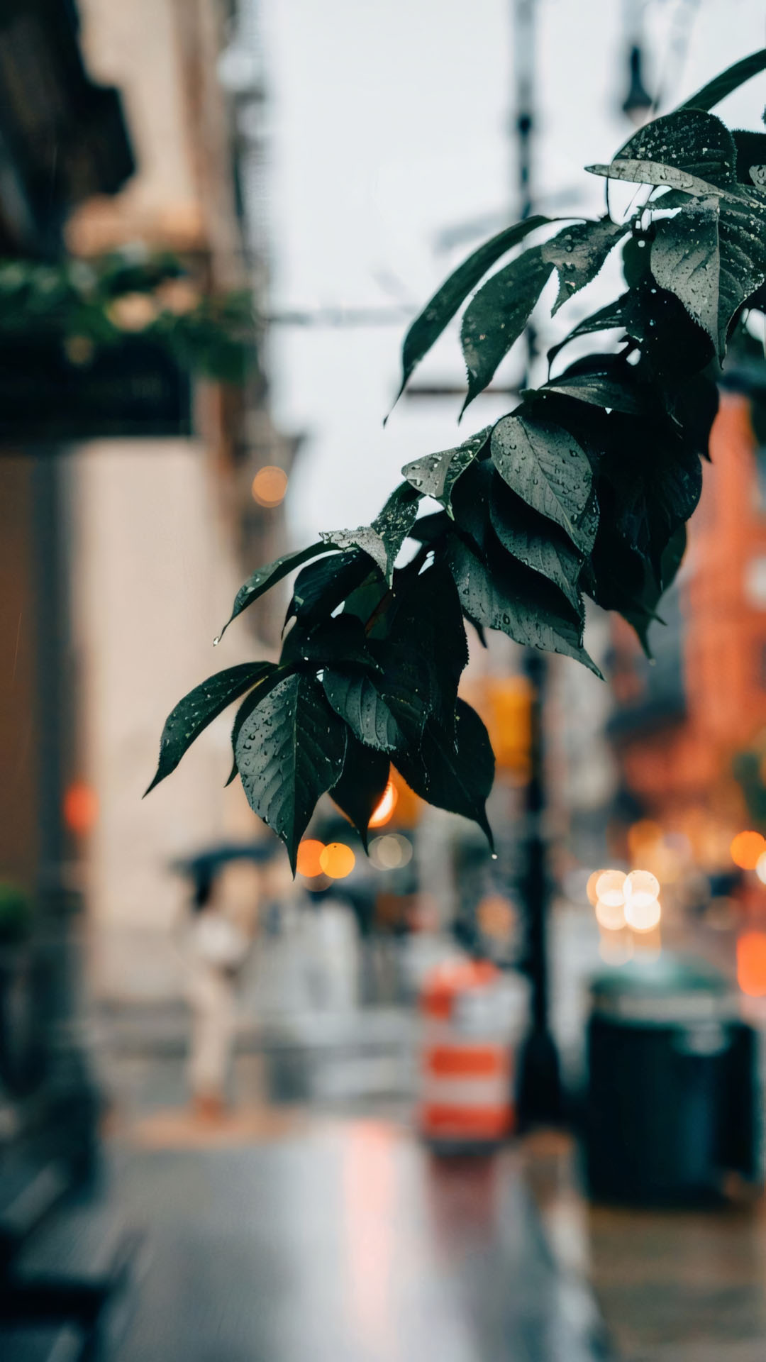 anh dang story buon khong chu 1920px 1080px full hd 4