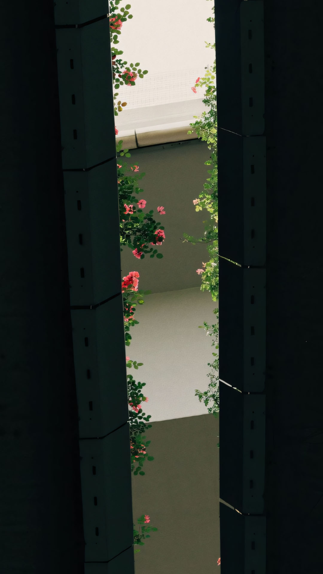 anh dang story buon khong chu 1920px 1080px full hd 8