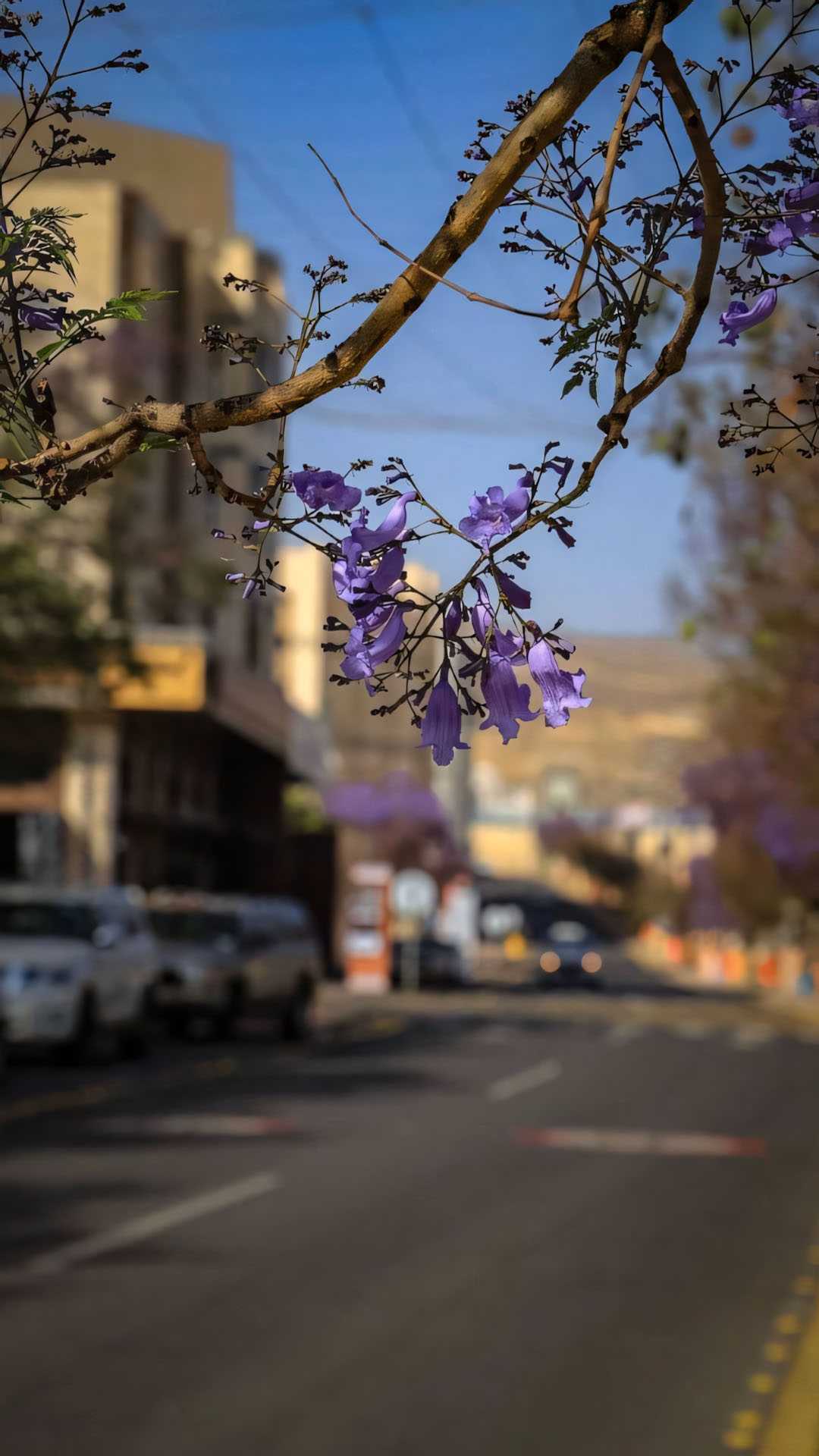 anh dang story buon khong chu 1920px 1080px full hd 18