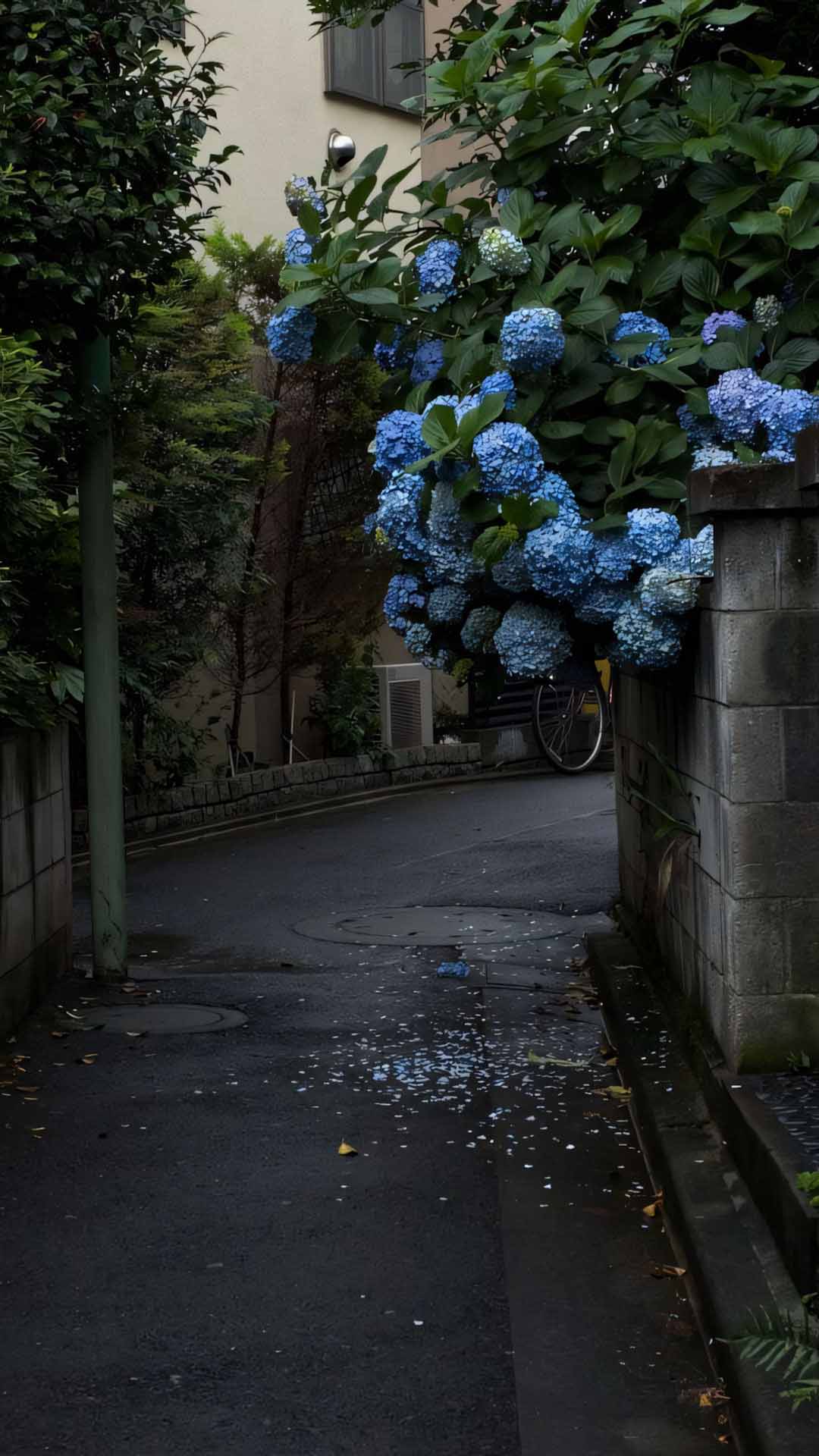 anh dang story buon khong chu 1920px 1080px full hd 26