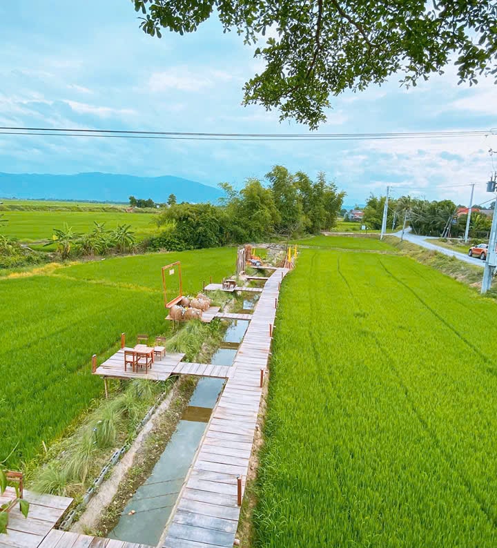 Gác Lúa Coffee - Quán cà phê view đồng lúa siêu chill ở Diên Khánh, Khánh Hòa