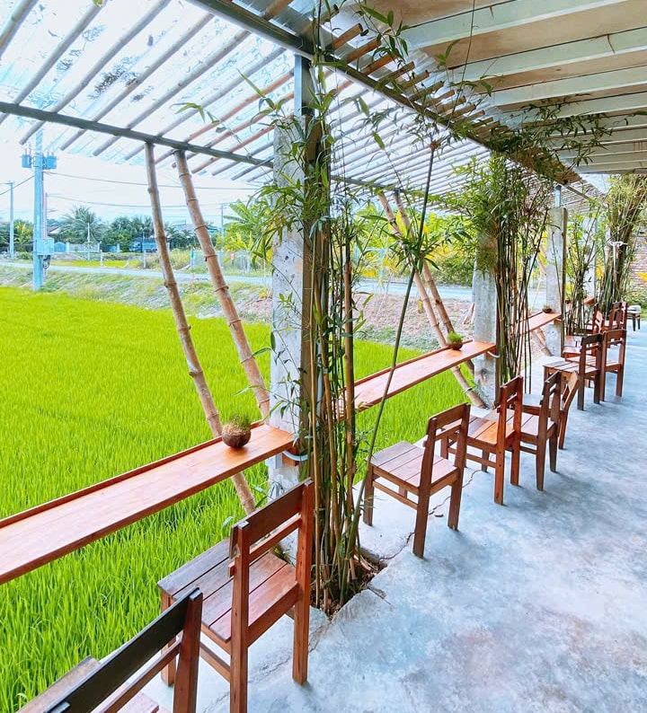 Gác Lúa Coffee - Quán cà phê view đồng lúa siêu chill ở Diên Khánh, Khánh Hòa