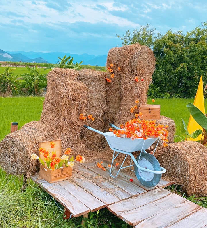 Gác Lúa Coffee - Quán cà phê view đồng lúa siêu chill ở Diên Khánh, Khánh Hòa