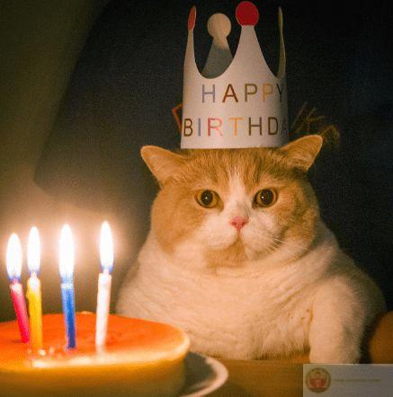 Cười lên nào, vì sau đó sẽ khóc vì meme