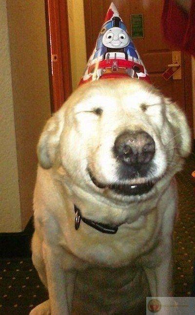 Tuổi mới mà não vẫn chưa cập nhật