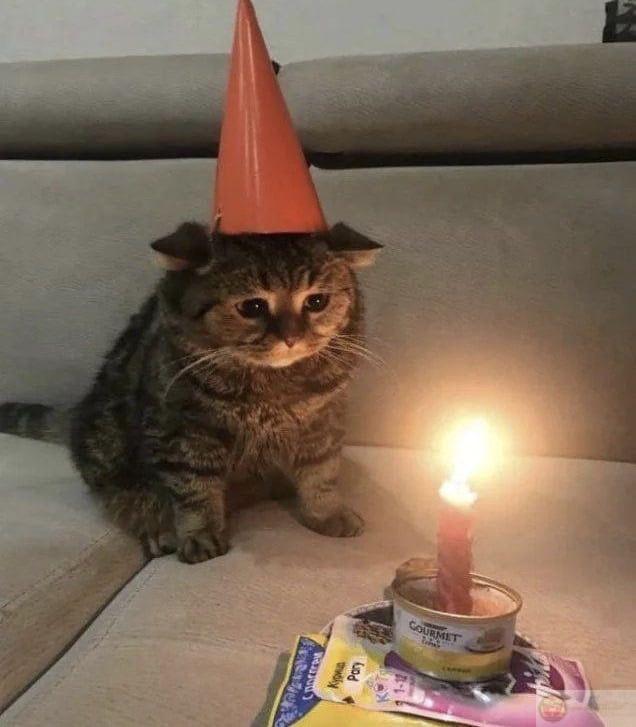 Tuổi mới chưa kịp vui, đã bị troll dập mặt