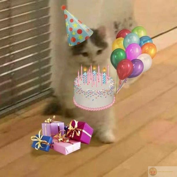 Nhân dịp sinh nhật, tha lỗi mọi lần xàm