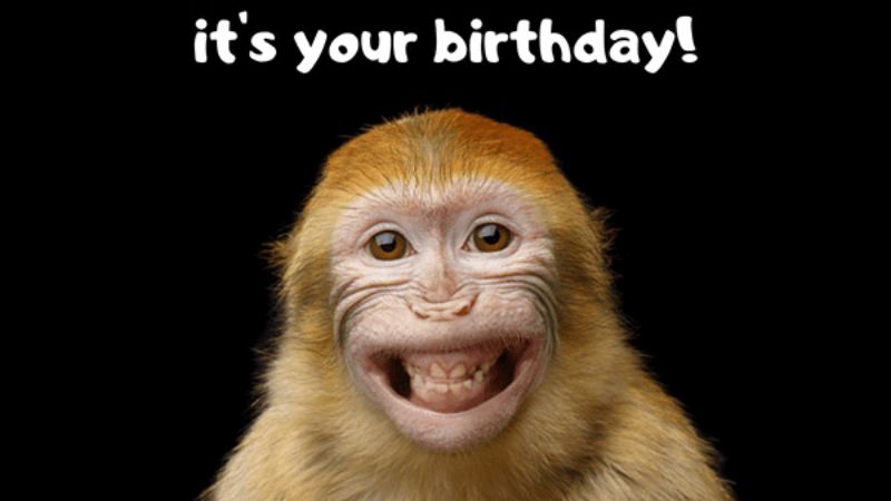 anh-chuc-mung-sinh-nhat-ba-dao-4