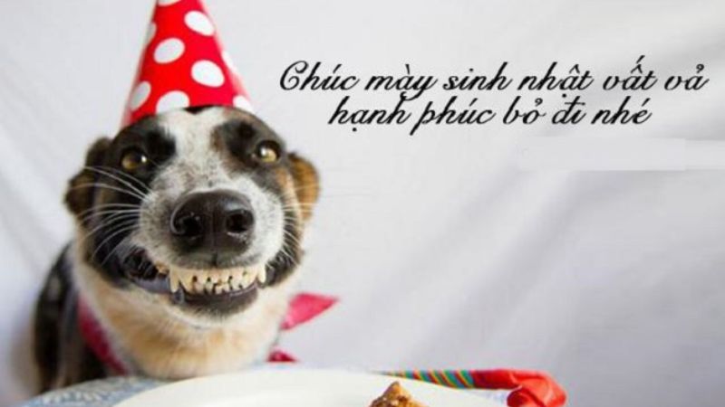 anh-chuc-mung-sinh-nhat-ba-dao-6