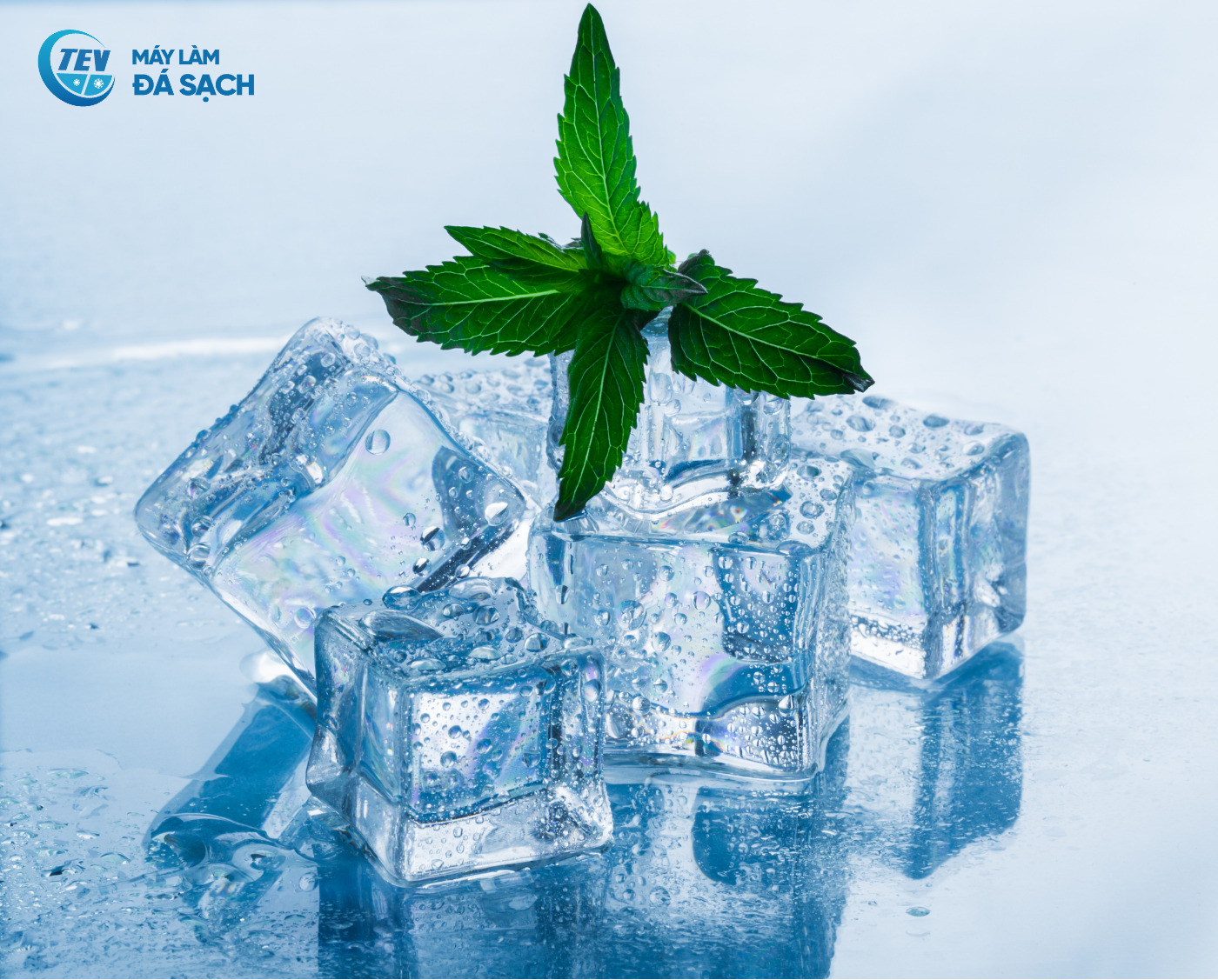 Hình ảnh đá viên tinh khiết có lá bạc hà