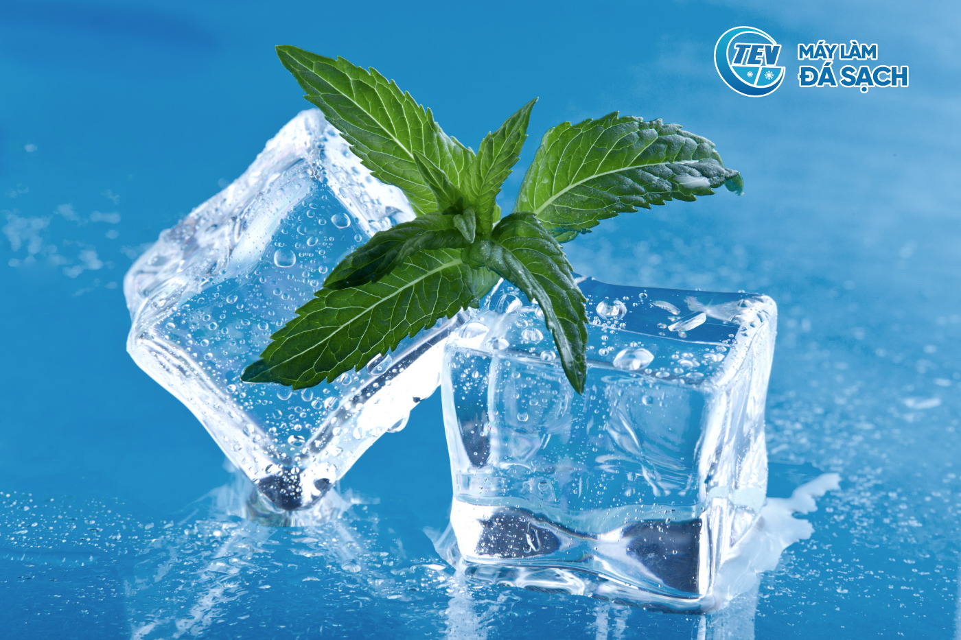 Hình ảnh 2 viên đá tinh khiết