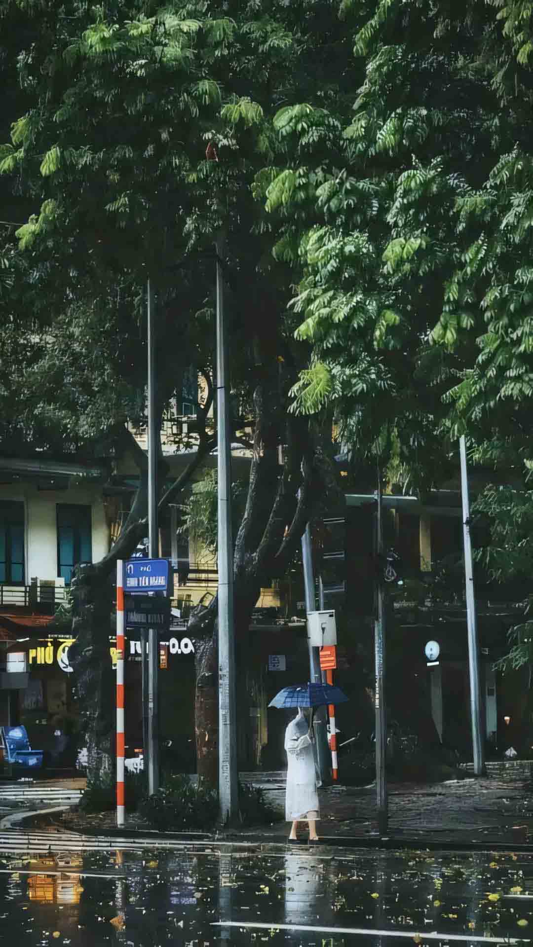 tam trang hinh anh mua buon tren pho 1920px 1080px full hd 4