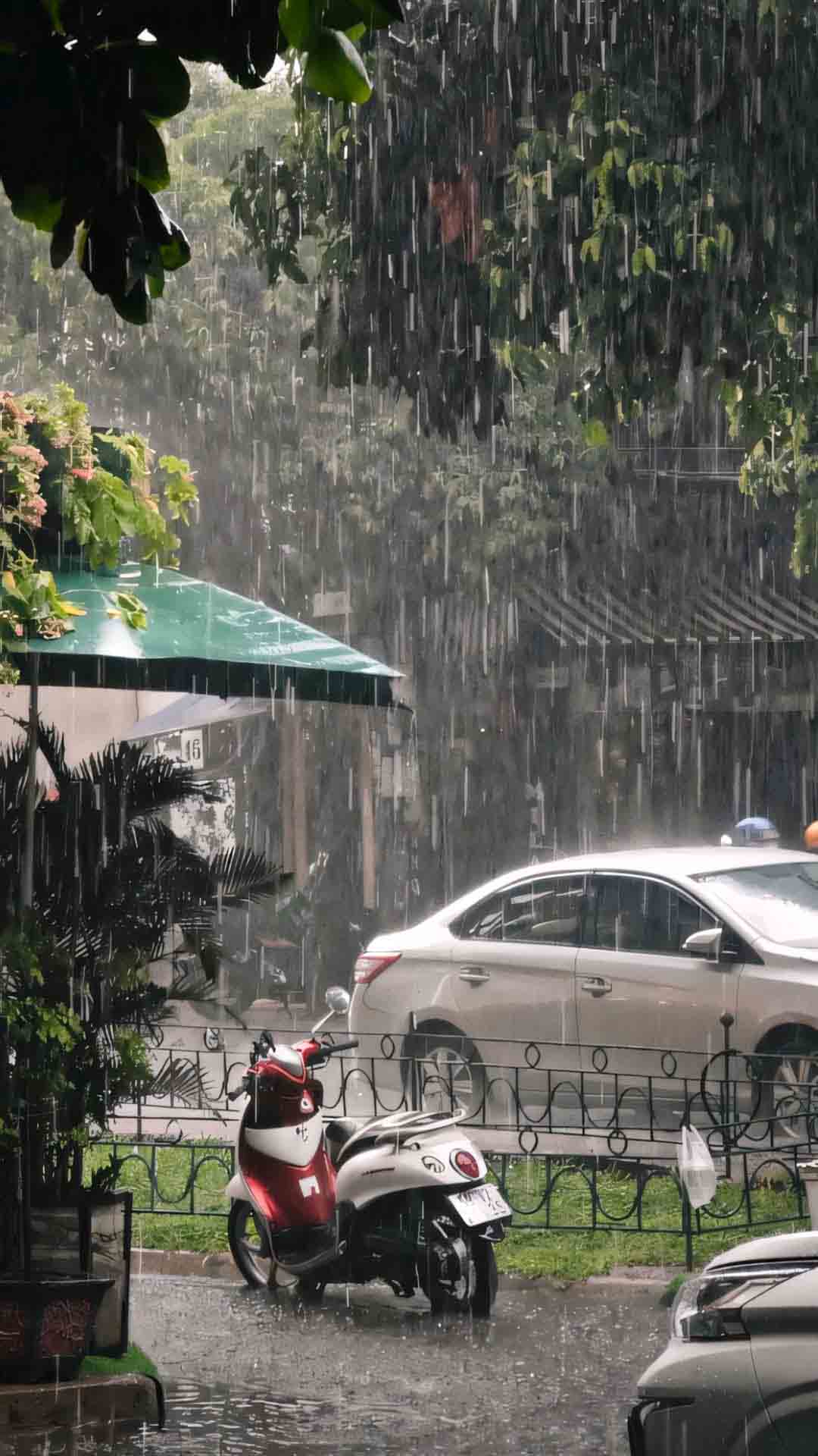 anh buon con duong mua tren pho 1920px 1080px full hd 8