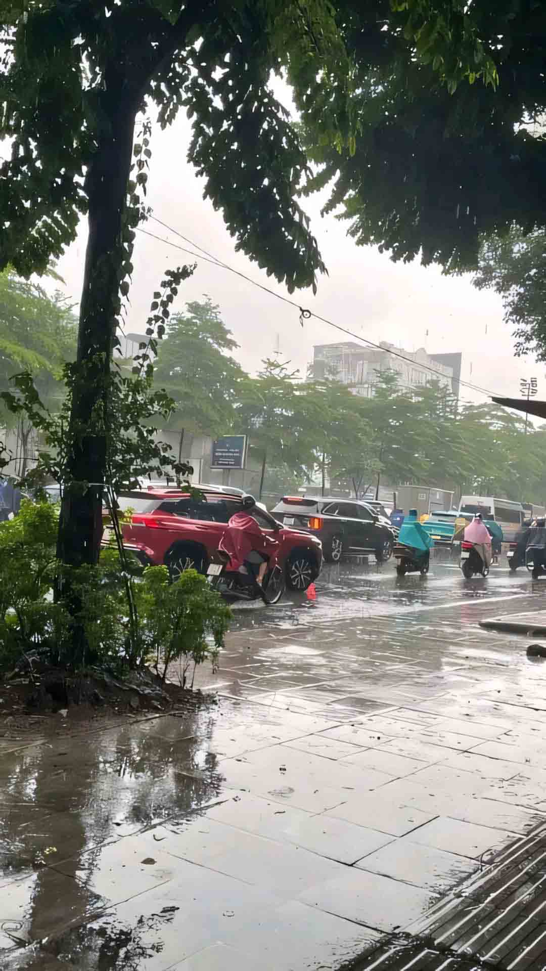 anh buon con duong mua tren pho 1920px 1080px full hd 9