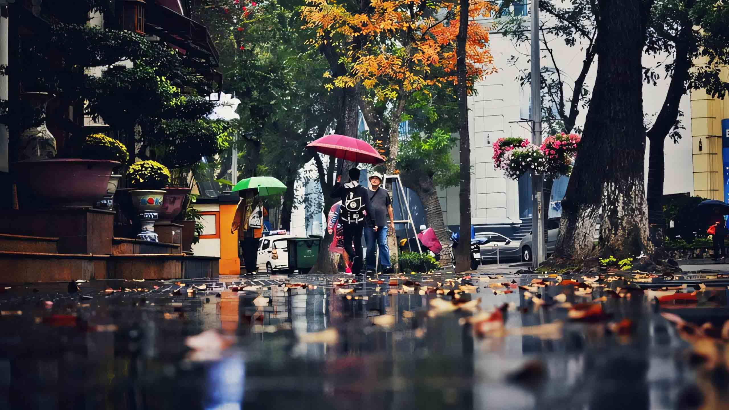 ha noi hinh anh mua buon tren pho 2560px 1440px 2k 8