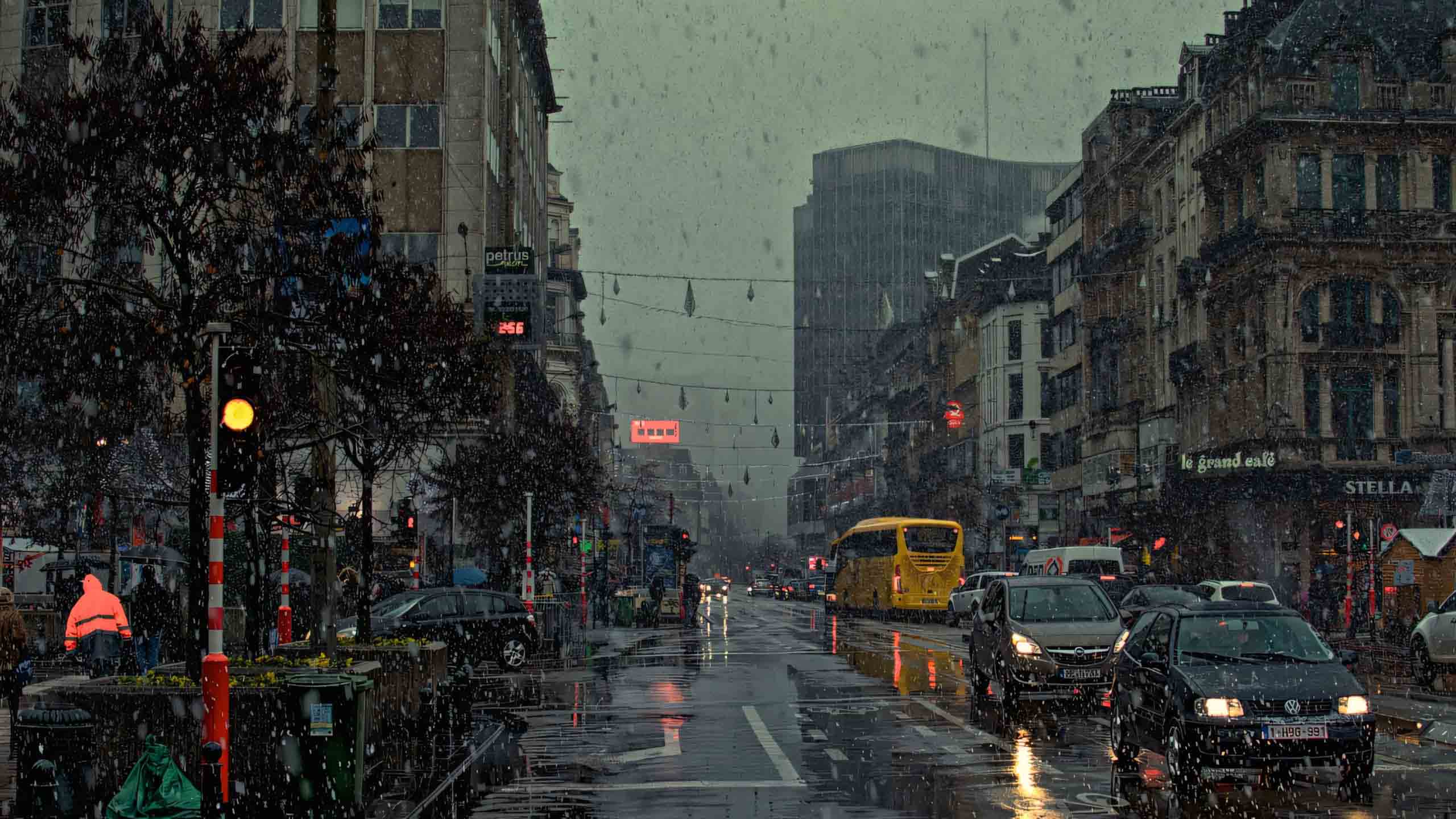 con mua dem hinh anh mua buon tren pho 2560px 1440px 2k 1