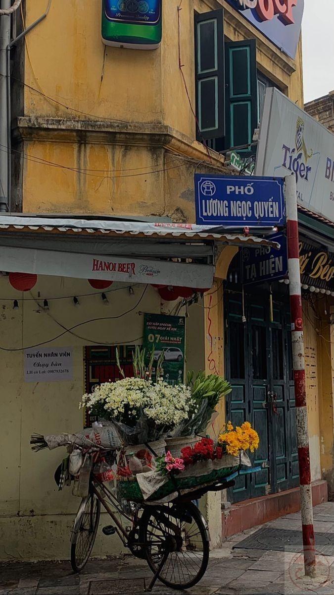 Giữa không gian tĩnh lặng, ta lắng nghe nhịp thở của phố phường