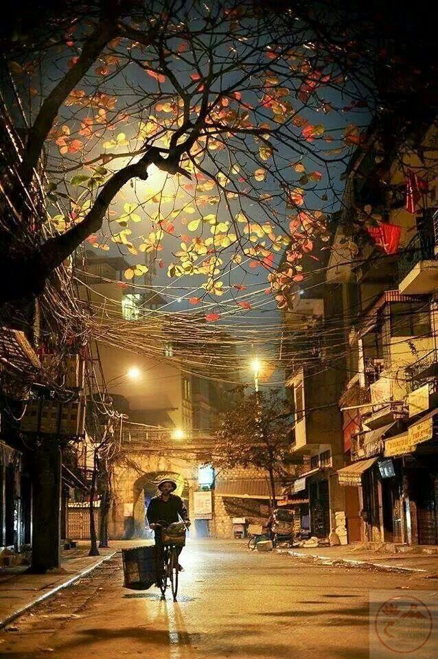 Phố phường lên đèn làm cho không gian thêm phần lãng mạn