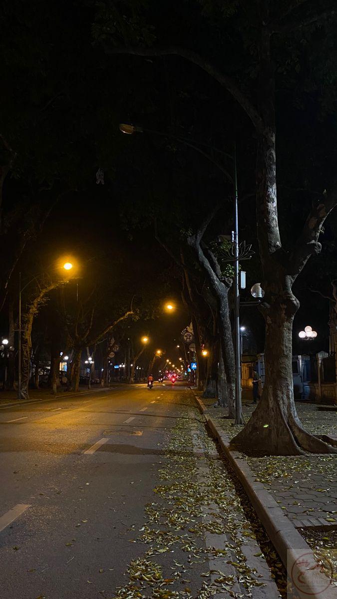 Giữa ánh sáng nhân tạo, người ta tìm thấy chút tĩnh lặng