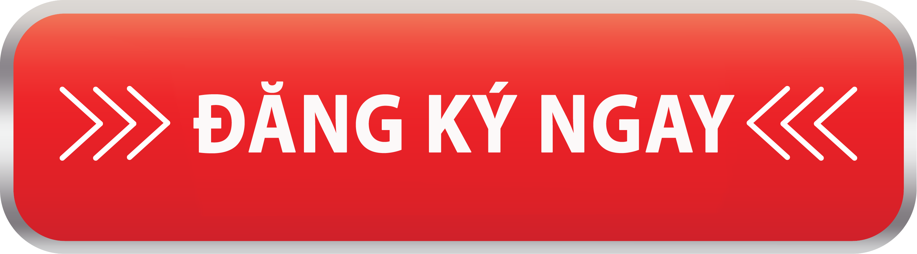 Ngắm hoa anh đào New York tháng 4 - Khám phá vẻ đẹp mùa xuân tại thành phố không ngủ