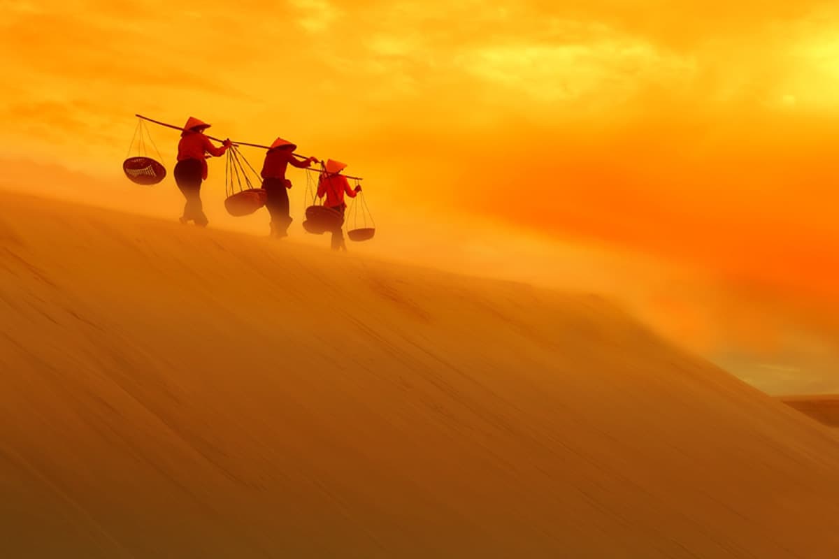 Đồi cát vàng hay được gọi là đồi cát bay vàng rực ảo diệu