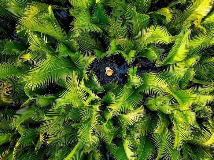 Những hình ảnh đẹp nhất về thiên nhiên Việt Nam